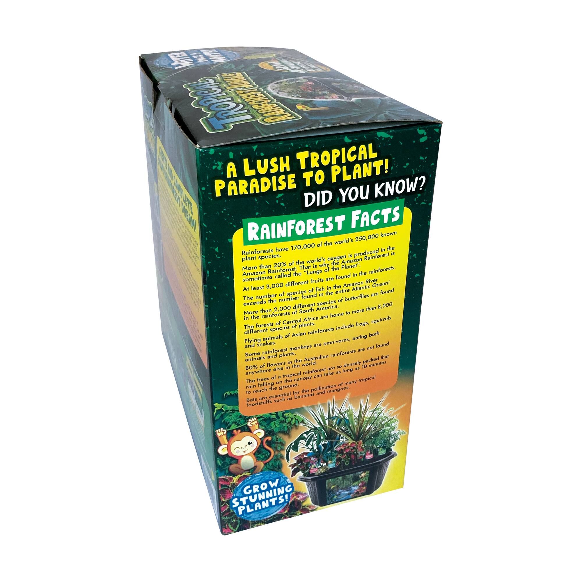 Biosphere Terrarium - Tropical Rainforest Jungle